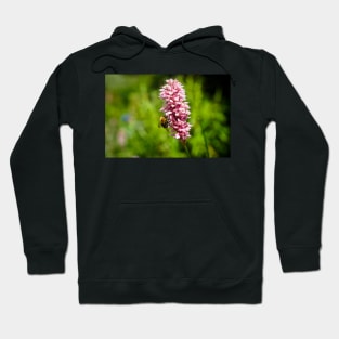 Beautiful Pink Flower With A Bee Pollinating And Green Background Hoodie